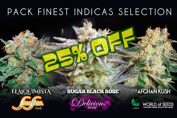 Indica Finest Collection