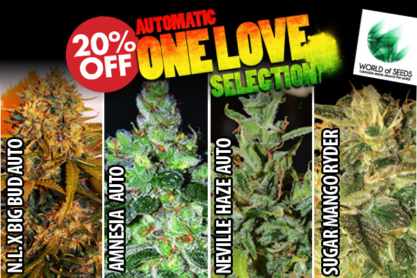 Automatic One Love Collection